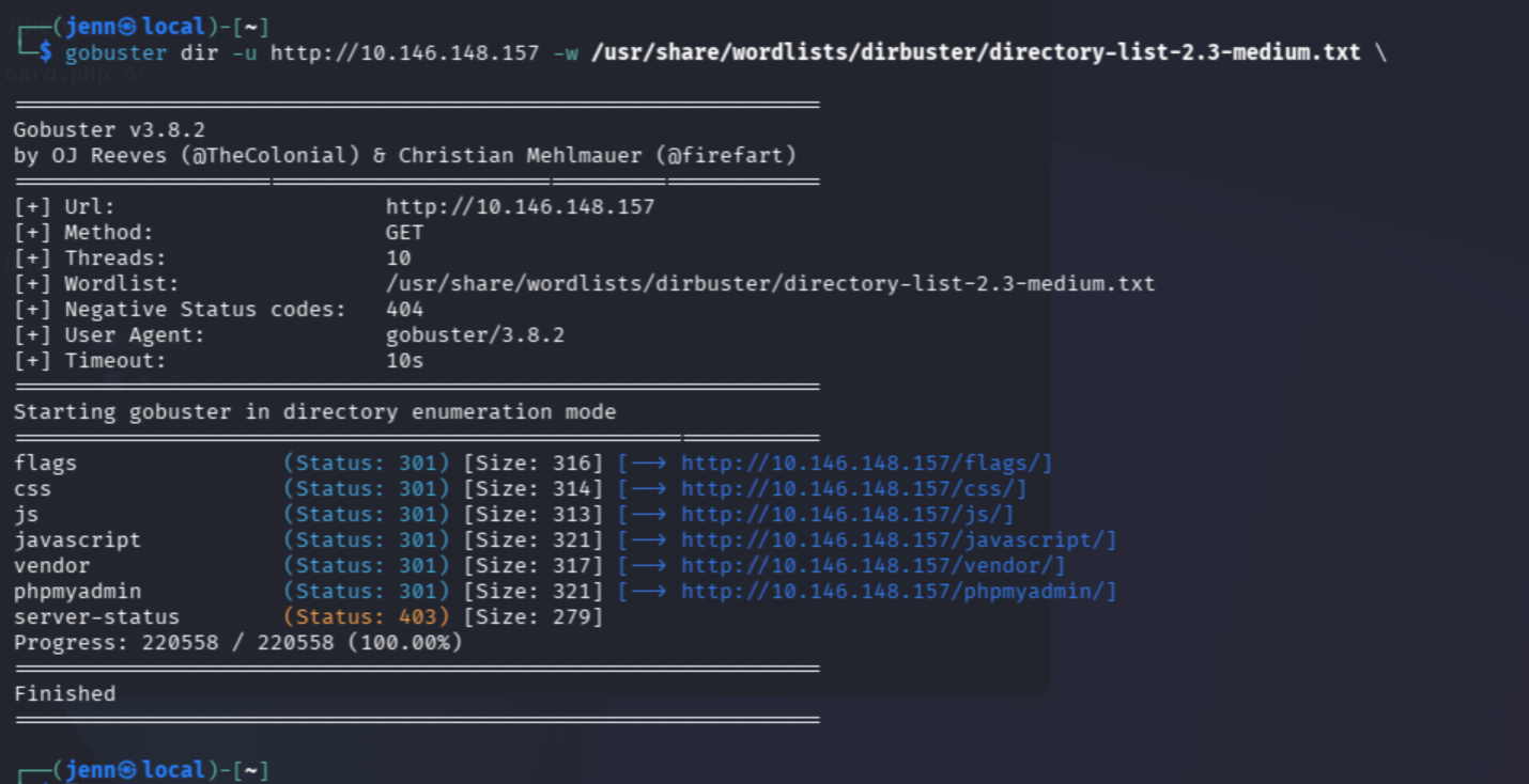 Gobuster running — directories and file types enumerated